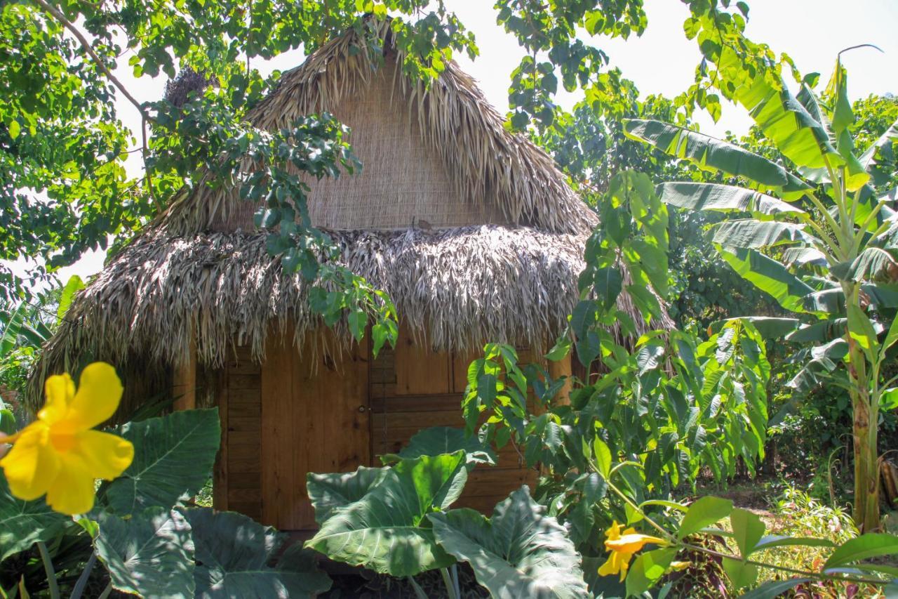 Samana Ecolodge El Limon Eksteriør billede