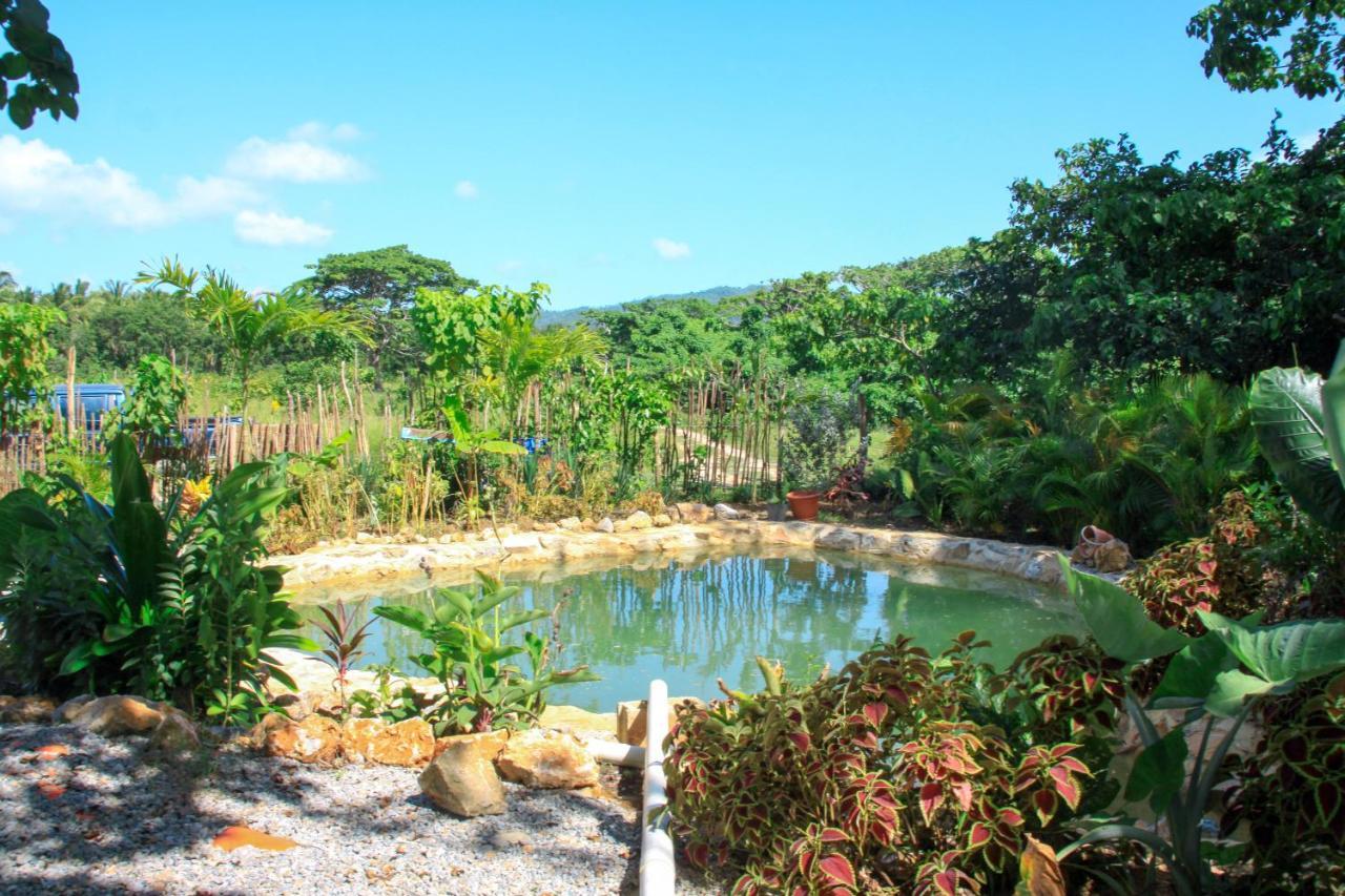 Samana Ecolodge El Limon Eksteriør billede