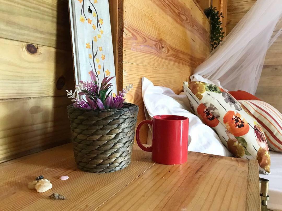 Samana Ecolodge El Limon Eksteriør billede