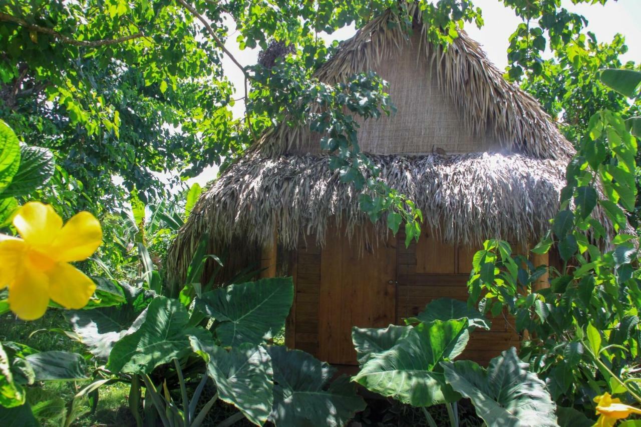 Samana Ecolodge El Limon Eksteriør billede