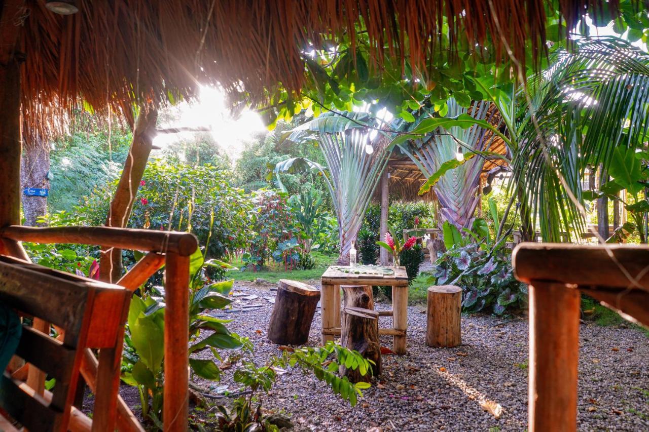Samana Ecolodge El Limon Eksteriør billede