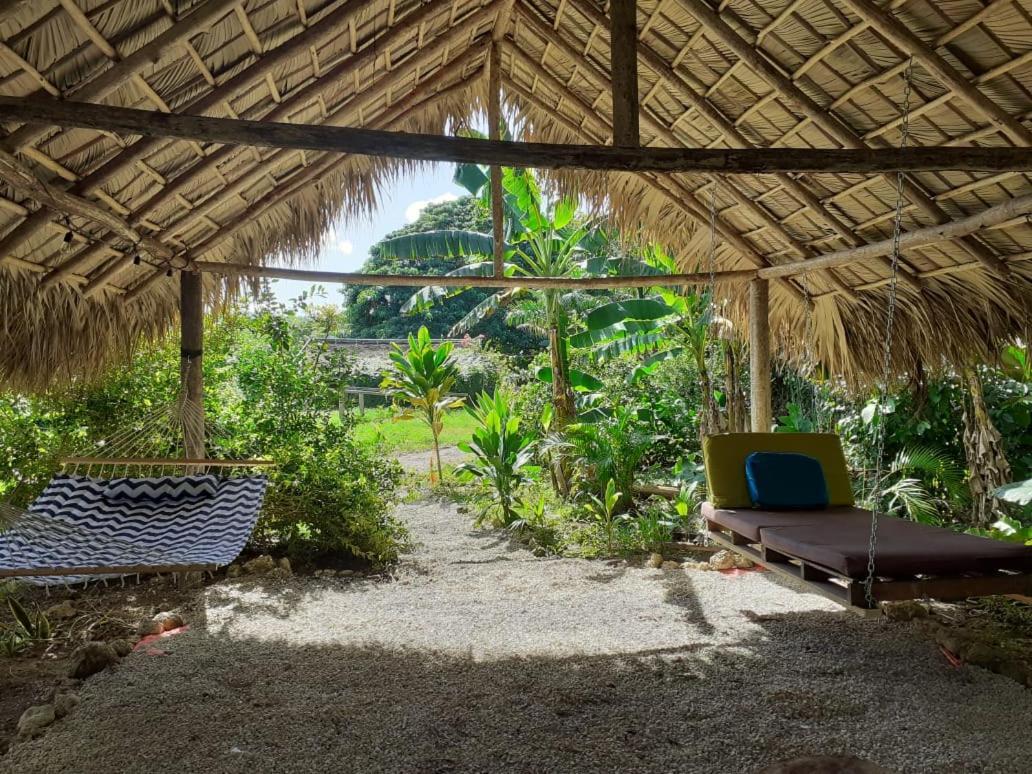 Samana Ecolodge El Limon Eksteriør billede