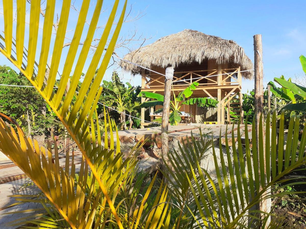 Samana Ecolodge El Limon Eksteriør billede